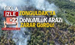 Zonguldak'ın Devrek ilçesinde çıkan orman yangınında 22 dönümlük arazi zarar gördü!