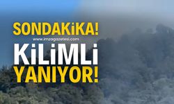 Zonguldak’ın Kilimli ilçesinde Yangın!