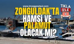 Zonguldak'ta Palamut ve Hamsi Olacak Mı?