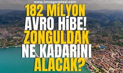 182 Milyon Avro hibe olarak dağıtılacak! Zonguldak ne kadarını alacak?