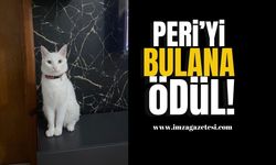 5 Yaşındaki 'Peri'yi Bulana Para Ödülü!