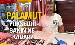 Palamut yeniden yükselişe geçti! Bakın ne kadar