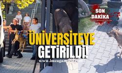 Üniversiteli köpekler üniversiteye getirildi!