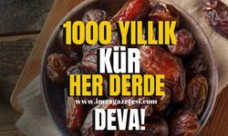 1000 yıllık kür her derde deva! Yiyen turp gibi oluyor...