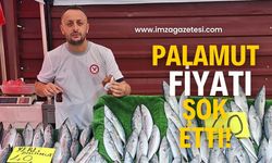 Bedavaya palamut! Gören koşuyor