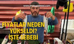 Palamut fiyatları neden yükseldi? İşte sebebi