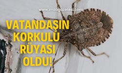 Vatandaşın korkulu rüyası oldu! Belediyeye tepki gösterdiler