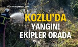 Kozlu’da anız yangını! Ekipler sevk edildi