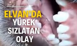 Elvanpazarcık’da şok olay!