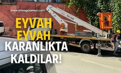 Eyvah eyvah! Elektrikler yok