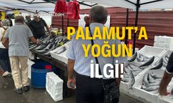 Palamut tezgahlarına yoğun ilgi! Herkes oraya koşuyor