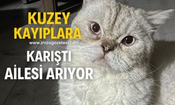 Kuzey kayıplara karıştı!