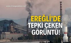 Ereğli’de tepki çeken görüntü! Çevre Bakanlığına seslendiler