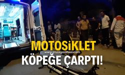 Motosiklet, köpeğe çarptı!