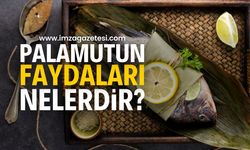 Palamutun Faydaları Nelerdir? Palamut Nasıl Yenmeli?