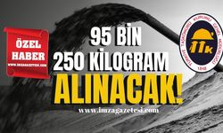 TTK’nın ocaklarına 95 bin 250 kilogram alınacak!