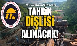 TTK tahrik dişlisi alacak!