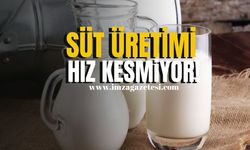 Ticari Süt Üretimi Hız Kesmiyor!