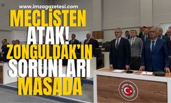 Zonguldak İl Genel Meclisinden Atak! Zonguldak'ın Sorunları Masada!