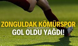 Zonguldak Kömürspor gol oldu yağdı!