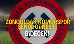 Zonguldak Kömürspor, Şenol Güneş’e gidecek!