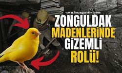 Zonguldak Madenlerinde Kanaryaların Gizemli Rolü!