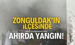 Zonguldak'ın Alaplı ilçesinde ahırda yangın çıktı!