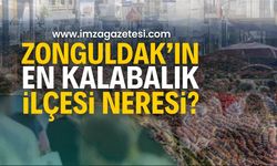 Zonguldak'ın En Kalabalık İlçesi Neresi? (Alaplı, Çaycuma, Devrek, Ereğli, Gökçebey, Kilimli ve Kozlu)