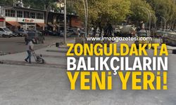 Zonguldak'ta Balıkçılara Yeni Satış Alanı: Hazırlıklar Bitiyor!