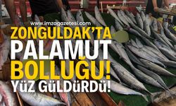 Zonguldak’ta Palamut Fiyatları Yüzleri Güldürdü | Zonguldak haberleri