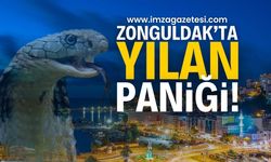 Zonguldak’ta Vatandaşların Yılan Paniği!