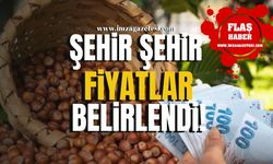 Bartın, Düzce, Giresun, Kocaeli, Ordu, Sakarya, Samsun, Trabzon, Zonguldak'ta fındık fiyatları ne kadar?