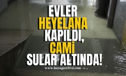 Batı Karadeniz Sel Felaketi! Evler Heyelana Kapıldı, Cami Su Altında!