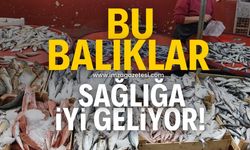 Bu balıkları tüketmek sağlığınıza iyi geliyor!