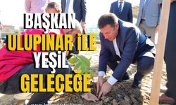 Devrek'te Başkan Ulupınar ile Yeşil Geleceğe Adım Atıldı!