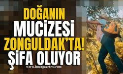 Doğanın Mucizesi Zonguldak'ta! Şifa Oluyor...