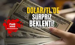 Dolar/TL'de Sürpriz Beklenti... Yıl Sonu Tahminleri Şaşırtacak!