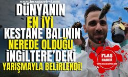 Dünyanın en iyi kestane balının nerede olduğu İngiltere'deki yarışmayla belirlendi!