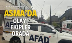 Asma’da heyelan! Ekipler orada