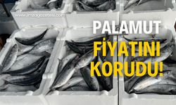 Palamut fiyatını korudu! Vatandaş memnun olmadı