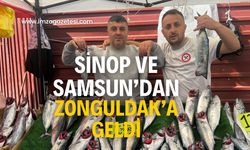 Sinop ve Samsun’dan Zonguldak’a getirdiler! Bakın fiyatı ne kadar