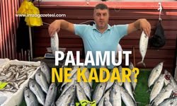 Palamut sevenlerini üzüyor! Ne kadar ?