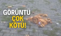 İncivez’de şok görüntü! Muhtar isyan etti