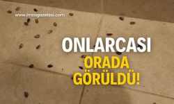 Onlarcası orada görüldü! Vatandaşa uyarıda bulundu