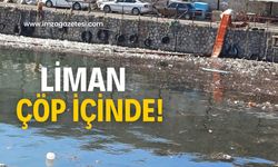 Limanda şok görüntü! Vatandaş isyan etti