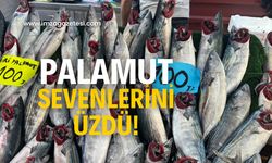 Palamut sevenlerini üzdü! Beklenen seviyeye inmedi