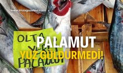 Palamut düşmüyor! Vatandaş ilgi göstermedi