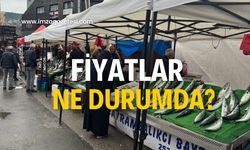 Palamut ne durumda? Fiyat ne zaman düşecek