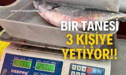 1 tane 1,5 Kg geliyor! Fiyat yüksek ilgi var