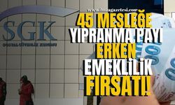 Erken Emeklilikte Yeni Fırsatlar! SGK'dan 45 Meslek Grubuna Yıpranma Payı!